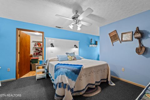 Tiny photo for 1043 Reagan Springs Rd, Townsend, TN 37882 (MLS # 1339401)
