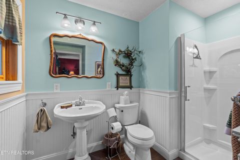Tiny photo for 1043 Reagan Springs Rd, Townsend, TN 37882 (MLS # 1339401)