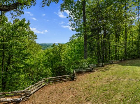 Tiny photo for 1043 Reagan Springs Rd, Townsend, TN 37882 (MLS # 1339401)