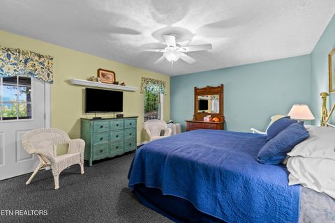 Tiny photo for 1043 Reagan Springs Rd, Townsend, TN 37882 (MLS # 1339401)