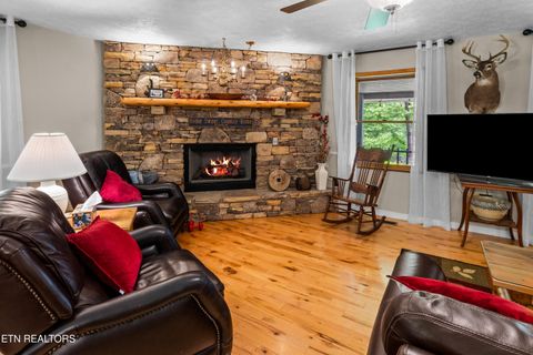 Tiny photo for 1043 Reagan Springs Rd, Townsend, TN 37882 (MLS # 1339401)