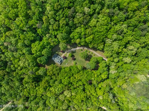 Tiny photo for 1043 Reagan Springs Rd, Townsend, TN 37882 (MLS # 1339401)