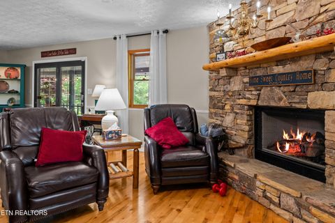 Tiny photo for 1043 Reagan Springs Rd, Townsend, TN 37882 (MLS # 1339401)