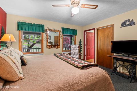 Tiny photo for 1043 Reagan Springs Rd, Townsend, TN 37882 (MLS # 1339401)