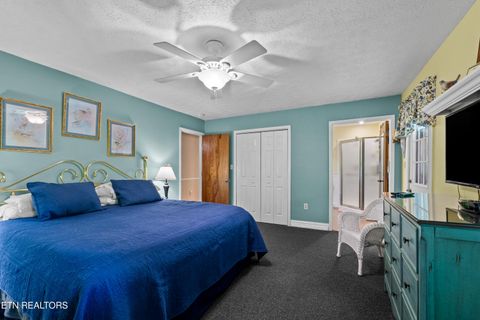 Tiny photo for 1043 Reagan Springs Rd, Townsend, TN 37882 (MLS # 1339401)