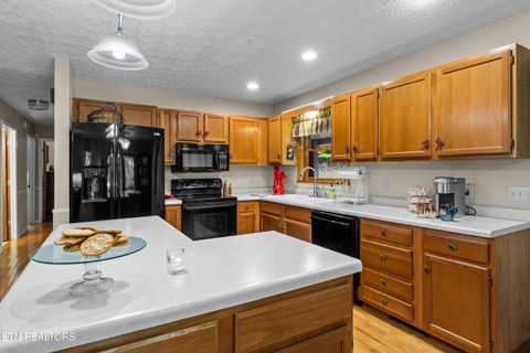 Tiny photo for 1043 Reagan Springs Rd, Townsend, TN 37882 (MLS # 1339401)