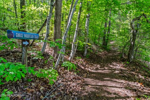 Tiny photo for 1043 Reagan Springs Rd, Townsend, TN 37882 (MLS # 1339401)