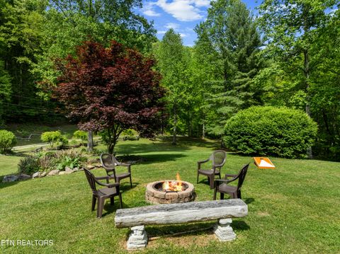 Tiny photo for 1043 Reagan Springs Rd, Townsend, TN 37882 (MLS # 1339401)