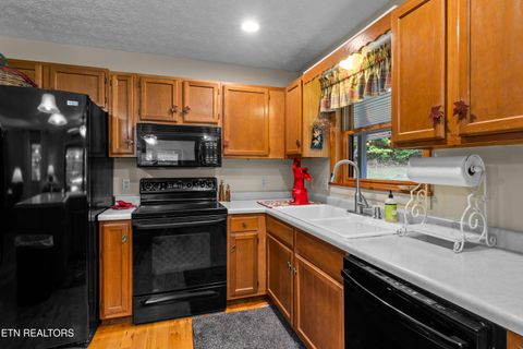 Tiny photo for 1043 Reagan Springs Rd, Townsend, TN 37882 (MLS # 1339401)