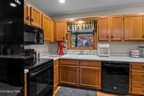 Tiny photo for 1043 Reagan Springs Rd, Townsend, TN 37882 (MLS # 1339401)