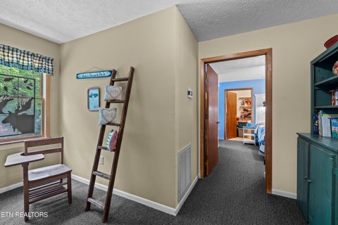 Tiny photo for 1043 Reagan Springs Rd, Townsend, TN 37882 (MLS # 1339401)