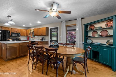 Tiny photo for 1043 Reagan Springs Rd, Townsend, TN 37882 (MLS # 1339401)