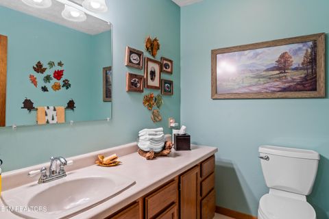 Tiny photo for 1043 Reagan Springs Rd, Townsend, TN 37882 (MLS # 1339401)