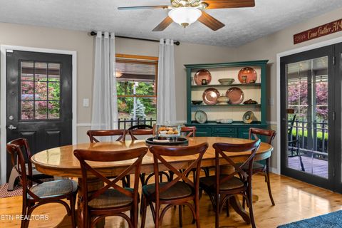 Tiny photo for 1043 Reagan Springs Rd, Townsend, TN 37882 (MLS # 1339401)