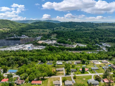 Tiny photo for 413 Whitaker St, Tazewell, TN 37879 (MLS # 1340560)
