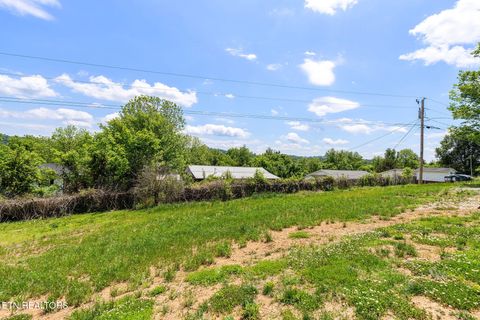 Tiny photo for 413 Whitaker St, Tazewell, TN 37879 (MLS # 1340560)