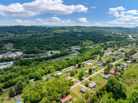 Tiny photo for 413 Whitaker St, Tazewell, TN 37879 (MLS # 1340560)