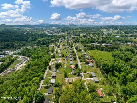 Tiny photo for 413 Whitaker St, Tazewell, TN 37879 (MLS # 1340560)