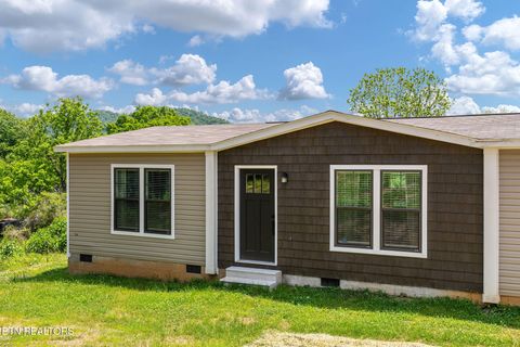 Tiny photo for 413 Whitaker St, Tazewell, TN 37879 (MLS # 1340560)