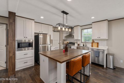 Tiny photo for 413 Whitaker St, Tazewell, TN 37879 (MLS # 1340560)