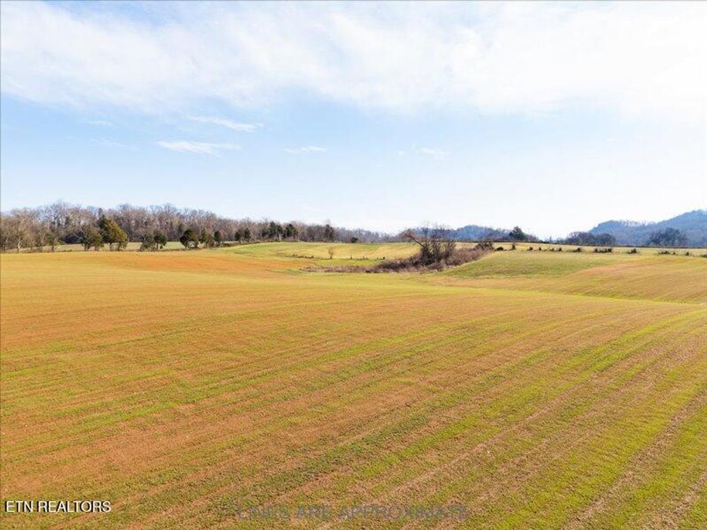Photo of 21075 Meadow Rd #Lot1, Greenback, TN 37742 (MLS # 1290128)