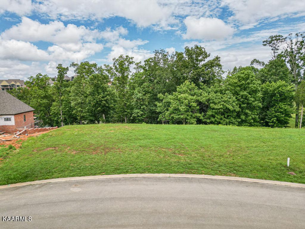 Photo of 898 Bower Court, Lenoir City, TN 37772 (MLS # 1231893)
