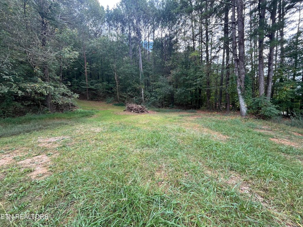 Photo of 000 CR 67 Rd, Riceville, TN 37370 (MLS # 1330464)