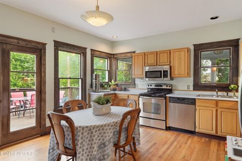 Tiny photo for 1207 Luttrell St, Knoxville, TN 37917 (MLS # 1344355)