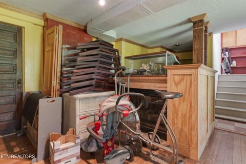 Tiny photo for 1207 Luttrell St, Knoxville, TN 37917 (MLS # 1344355)