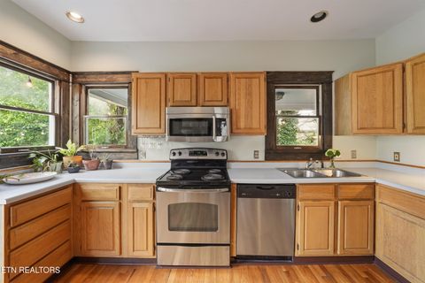 Tiny photo for 1207 Luttrell St, Knoxville, TN 37917 (MLS # 1344355)