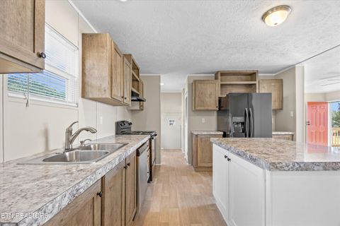 Tiny photo for 323 Foster Rd, Blaine, TN 37709 (MLS # 1316855)