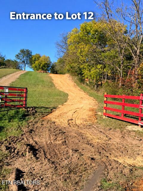 Tiny photo for 8274 Cedar Creek Rd, Greeneville, TN 37743 (MLS # 1359422)