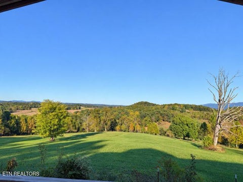 Tiny photo for 8274 Cedar Creek Rd, Greeneville, TN 37743 (MLS # 1359422)