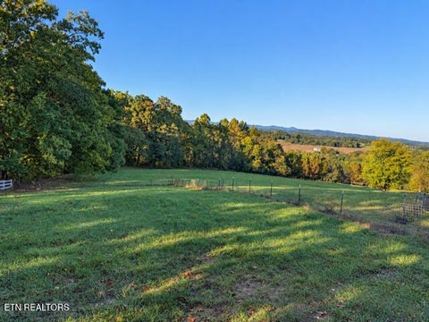 Tiny photo for 8274 Cedar Creek Rd, Greeneville, TN 37743 (MLS # 1359422)