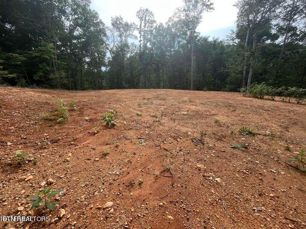 Photo of 6420 Maynardville Hwy, Maynardville, TN 37807 (MLS # 1256977)