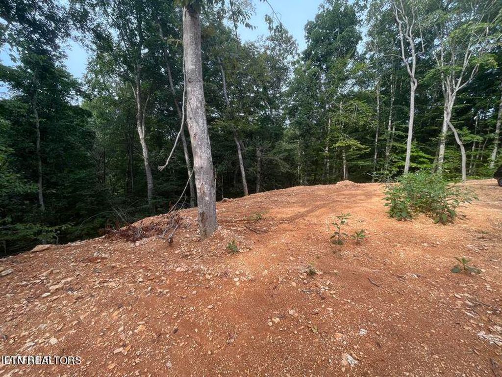 Photo of 6420 Maynardville Hwy, Maynardville, TN 37807 (MLS # 1256977)