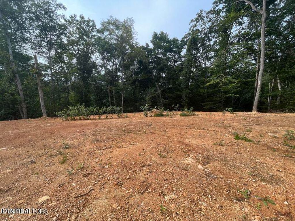 Photo of 6420 Maynardville Hwy, Maynardville, TN 37807 (MLS # 1256977)