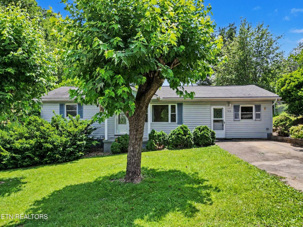 Photo of 515 Morrell St, Newport, TN 37821 (MLS # 1344845)