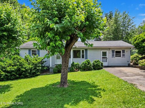 Photo of 515 Morrell St, Newport, TN 37821 (MLS # 1344845)