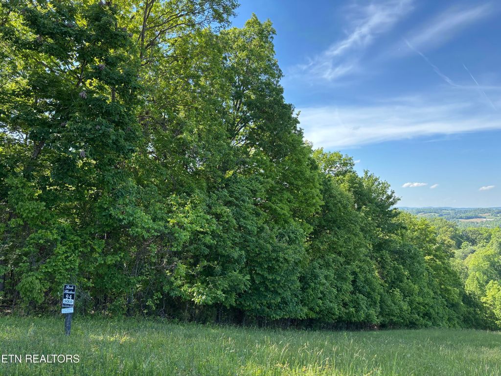 Photo of Flagstone Loop, New Tazewell, TN 37825 (MLS # 1339378)