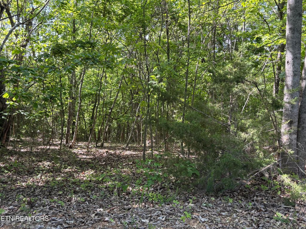 Photo of Flagstone Loop, New Tazewell, TN 37825 (MLS # 1339378)
