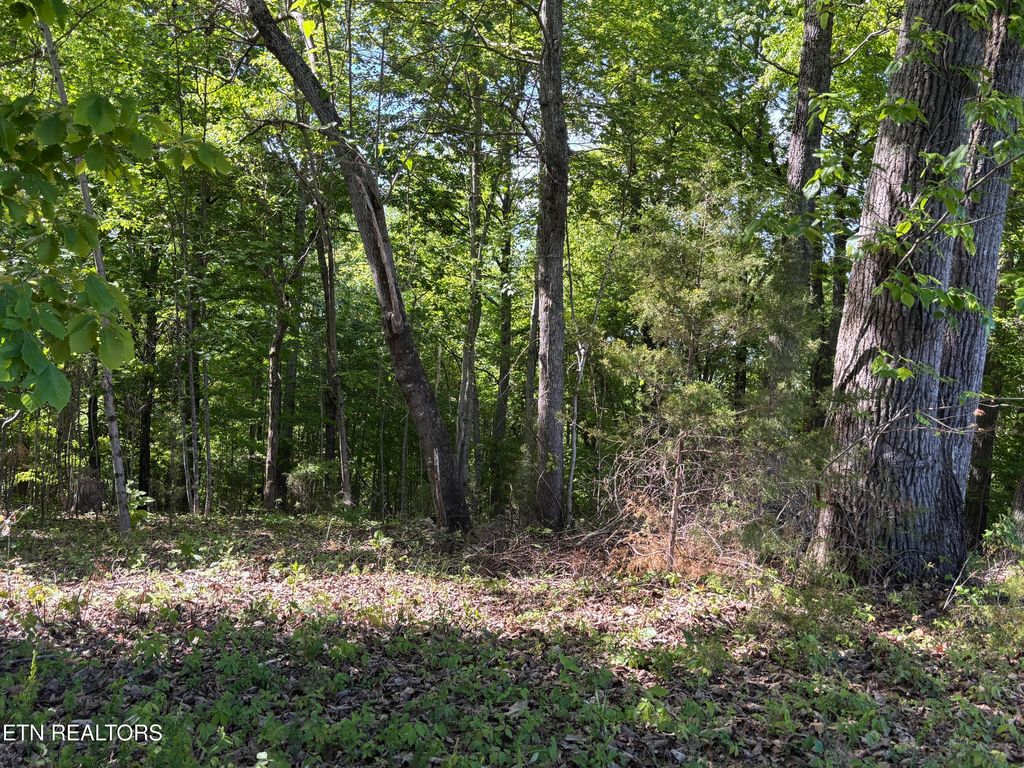 Photo of Flagstone Loop, New Tazewell, TN 37825 (MLS # 1339378)