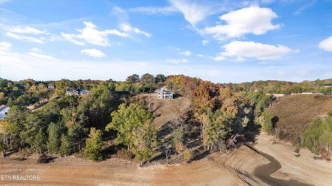 Tiny photo for 313 Sunrise Tr, Dandridge, TN 37725 (MLS # 1319234)