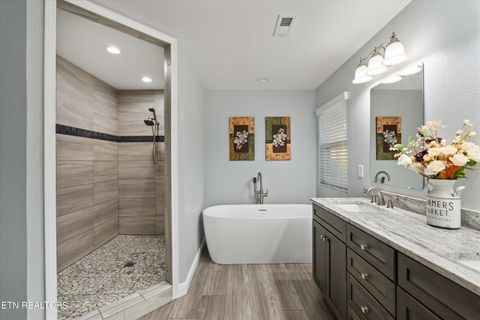 Tiny photo for 313 Sunrise Tr, Dandridge, TN 37725 (MLS # 1319234)