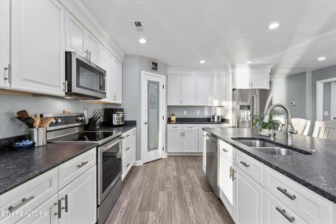 Tiny photo for 313 Sunrise Tr, Dandridge, TN 37725 (MLS # 1319234)
