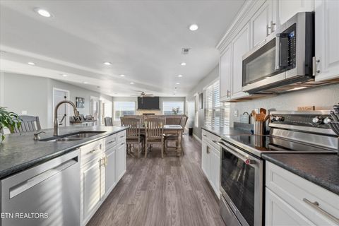 Tiny photo for 313 Sunrise Tr, Dandridge, TN 37725 (MLS # 1319234)