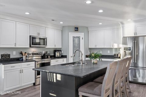 Tiny photo for 313 Sunrise Tr, Dandridge, TN 37725 (MLS # 1319234)
