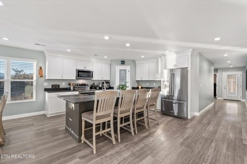Tiny photo for 313 Sunrise Tr, Dandridge, TN 37725 (MLS # 1319234)
