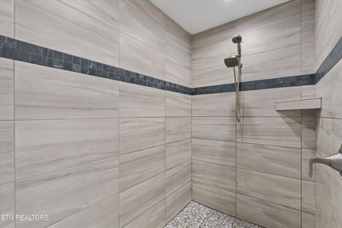 Tiny photo for 313 Sunrise Tr, Dandridge, TN 37725 (MLS # 1319234)