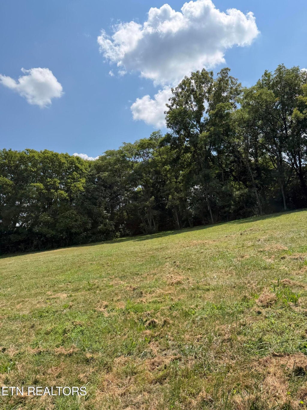 Photo of 1428 Flat Gap Rd #Lot 4, Jefferson City, TN 37760 (MLS # 1353973)